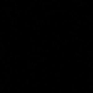 Meet your Posher, Evelyn